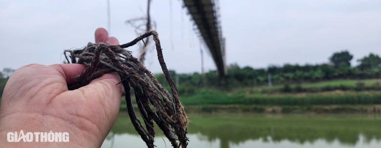 Th&aacute;i Nguy&ecirc;n: Bất chấp cầu treo đứt c&aacute;p, người d&acirc;n vẫn qua lại- Ảnh 9.