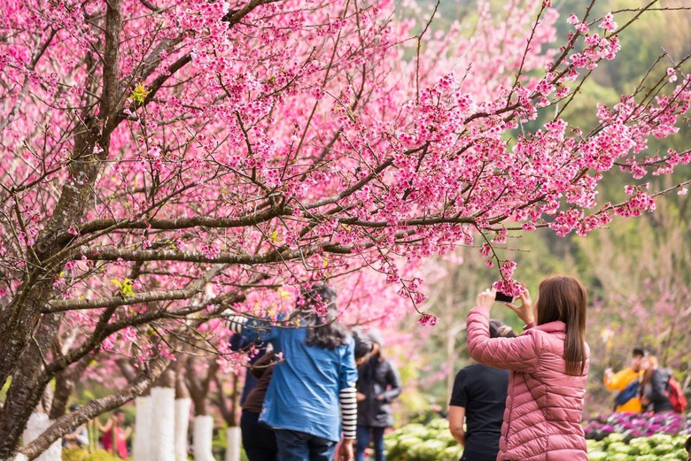 Lễ hội &ldquo;Ice cũng c&oacute; Tết&rdquo; - điểm đến kh&ocirc;ng thể bỏ lỡ ở đảo ngọc- Ảnh 1.