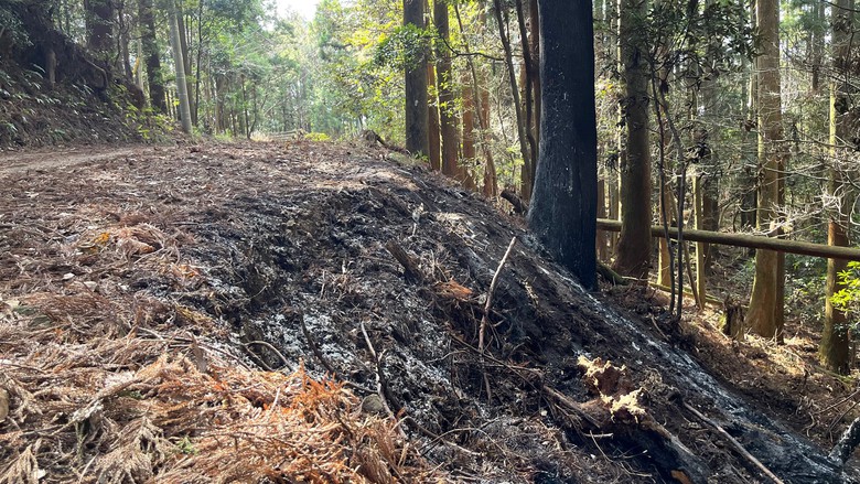 Vị tr&iacute; ph&aacute;t hiện thi thể người đ&agrave;n &ocirc;ng trong chiếc xe ch&aacute;y rụi. (Ảnh: TBS News)