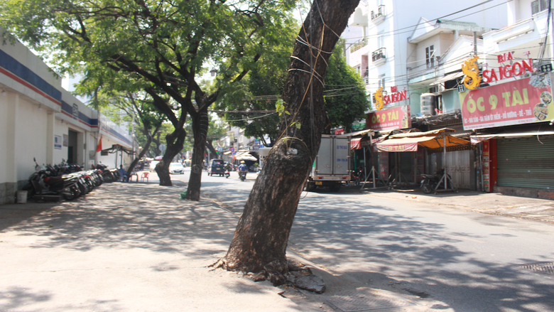 Đường v&agrave;o nh&agrave; ga T3 T&acirc;n Sơn Nhất rộng 10m vẫn im l&igrave;m khiến người d&acirc;n sốt ruột- Ảnh 7.