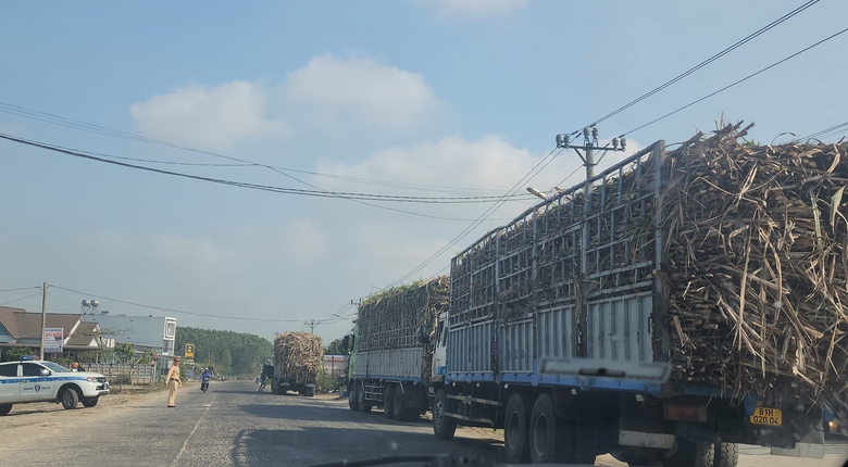 Xe chở m&iacute;a, m&igrave; &ldquo;c&oacute; ngọn&rdquo; lộng h&agrave;nh tr&ecirc;n quốc lộ- Ảnh 3.