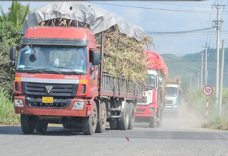 Xe chở m&iacute;a, m&igrave; &ldquo;c&oacute; ngọn&rdquo; lộng h&agrave;nh tr&ecirc;n quốc lộ- Ảnh 4.