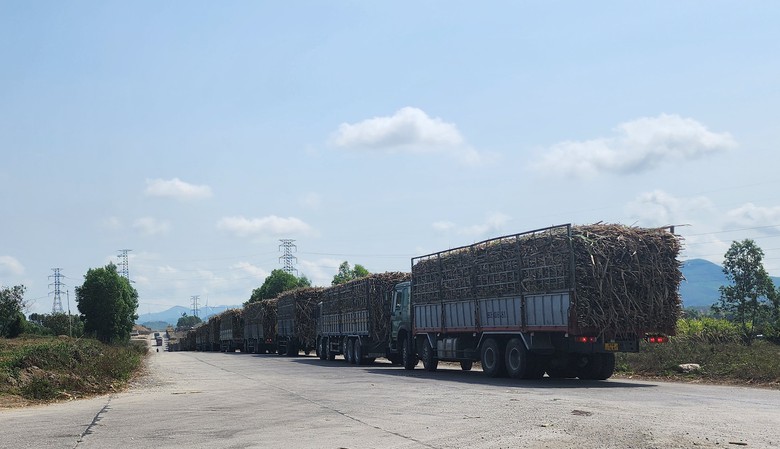 Gia Lai: Quyết kh&ocirc;ng dung t&uacute;ng, bao che xe qu&aacute; tải- Ảnh 4.