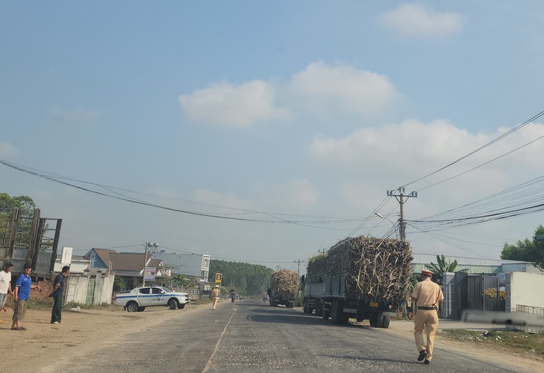 Xe chở mía quá khổ vô tư Xe chở mía quá khổ vô tư