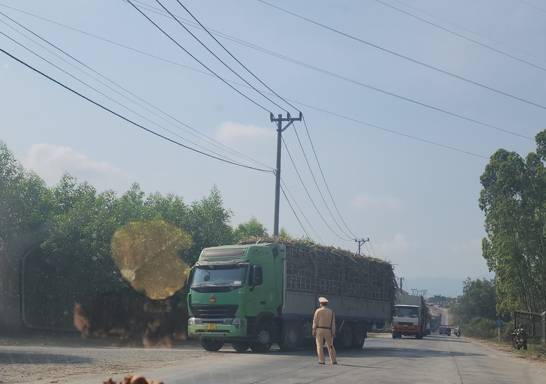 Xe chở mía quá khổ vô tư Xe chở mía quá khổ vô tư