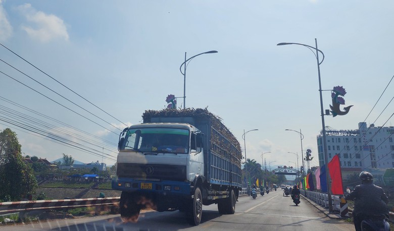 Xe chở mía quá khổ vô tư Xe chở mía quá khổ vô tư