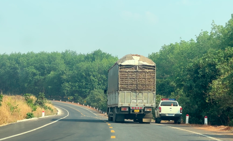 Gia Lai: Nếu c&aacute;n bộ sai phạm, vi phạm quy tr&igrave;nh TTKS sẽ bị xử l&yacute; nghi&ecirc;m- Ảnh 1.