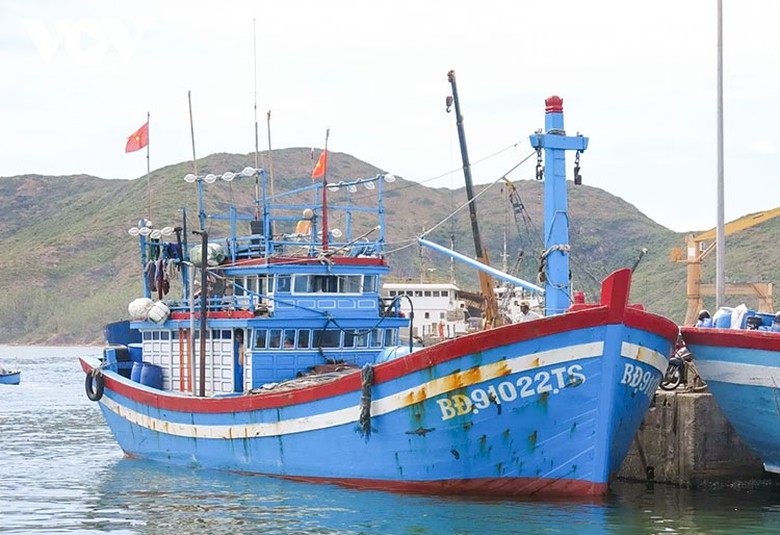 T&agrave;u h&agrave;ng t&ocirc;ng g&atilde;y mũi t&agrave;u c&aacute; giữa biển rồi rời khỏi hiện trường- Ảnh 1.