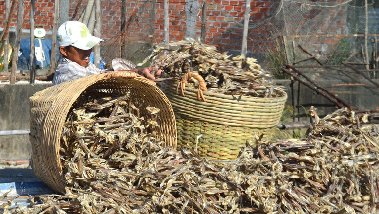 L&agrave;ng c&aacute; kh&ocirc; lớn nhất C&agrave; Mau tất bật chuẩn bị cho vụ Tết- Ảnh 8.