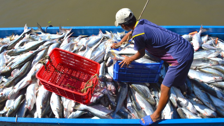 L&agrave;ng c&aacute; kh&ocirc; lớn nhất C&agrave; Mau tất bật chuẩn bị cho vụ Tết- Ảnh 9.