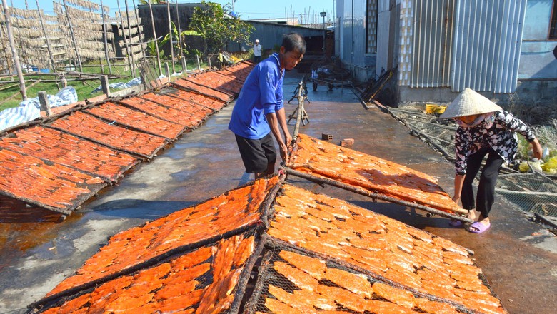 L&agrave;ng c&aacute; kh&ocirc; lớn nhất C&agrave; Mau tất bật chuẩn bị cho vụ Tết- Ảnh 6.