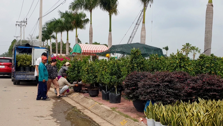 Chợ hoa miễn phí mặt bằng ở Cần Thơ không còn chỗ trống, tấp nập mua bán- Ảnh 1. Chợ hoa miễn phí mặt bằng ở Cần Thơ không còn chỗ trống, tấp nập mua bán- Ảnh 1.