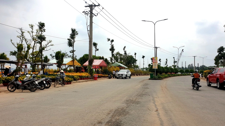 Chợ hoa miễn phí mặt bằng ở Cần Thơ không còn chỗ trống, tấp nập mua bán- Ảnh 3. Chợ hoa miễn phí mặt bằng ở Cần Thơ không còn chỗ trống, tấp nập mua bán- Ảnh 3.