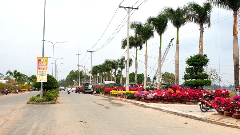 Chợ hoa miễn phí mặt bằng ở Cần Thơ không còn chỗ trống, tấp nập mua bán- Ảnh 7. Chợ hoa miễn phí mặt bằng ở Cần Thơ không còn chỗ trống, tấp nập mua bán- Ảnh 7.