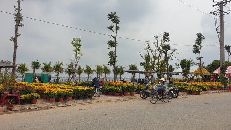 Chợ hoa miễn phí mặt bằng ở Cần Thơ không còn chỗ trống, tấp nập mua bán- Ảnh 5. Chợ hoa miễn phí mặt bằng ở Cần Thơ không còn chỗ trống, tấp nập mua bán- Ảnh 5.