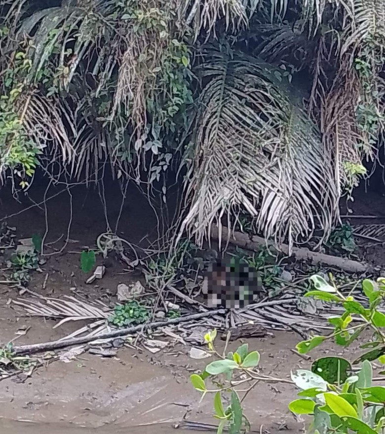 Vĩnh Long: Li&ecirc;n tiếp ph&aacute;t hiện nhiều bộ phận cơ thể nghi của một phụ nữ- Ảnh 1.