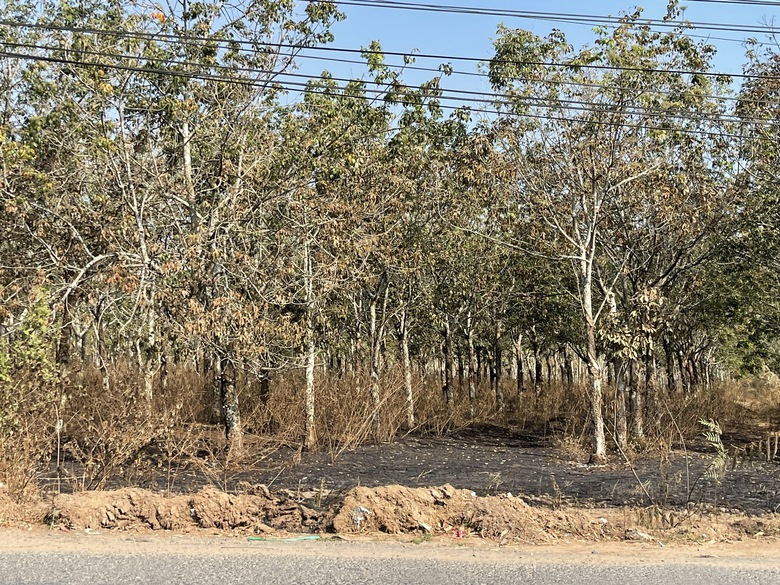 Đồng Nai cam kết giao đủ mặt bằng l&agrave;m cao tốc Bi&ecirc;n H&ograve;a - Vũng T&agrave;u trong th&aacute;ng 6- Ảnh 5.