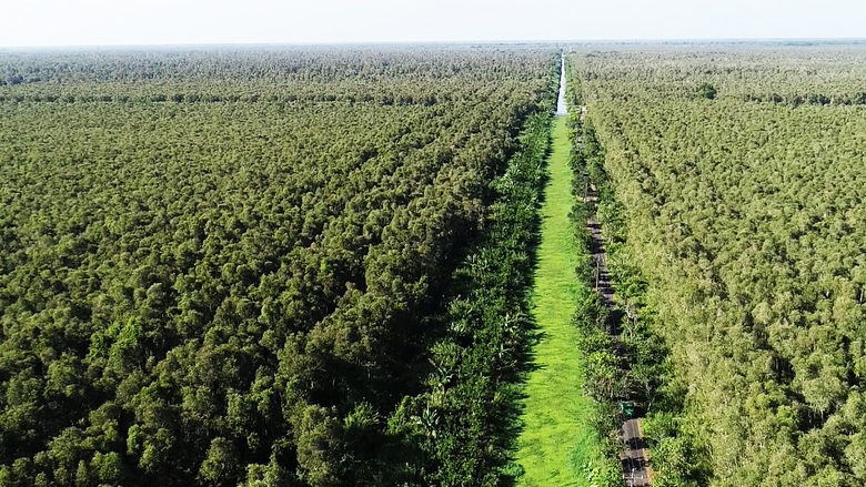 Hạn h&aacute;n gay gắt, C&agrave; Mau hỏa tốc xin hỗ trợ hơn 63 tỷ đồng bảo vệ rừng- Ảnh 1.