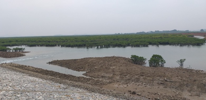 Sẽ kiểm to&aacute;n dự &aacute;n tuyến đ&ecirc; triệu đ&ocirc; bỏ kh&ocirc;ng m&agrave; B&aacute;o Giao th&ocirc;ng phản &aacute;nh- Ảnh 2.