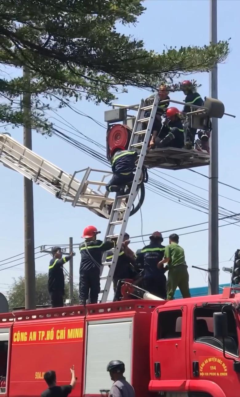 Th&oacute;t tim giải cứu thanh ni&ecirc;n tr&egrave;o l&ecirc;n cột đ&egrave;n tr&ecirc;n quốc lộ 22- Ảnh 3.