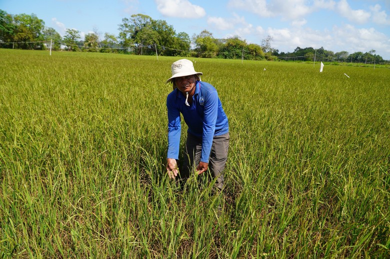 Giải ph&aacute;p n&agrave;o cho v&ugrave;ng s&ocirc;ng nước thiếu nước?- Ảnh 2.