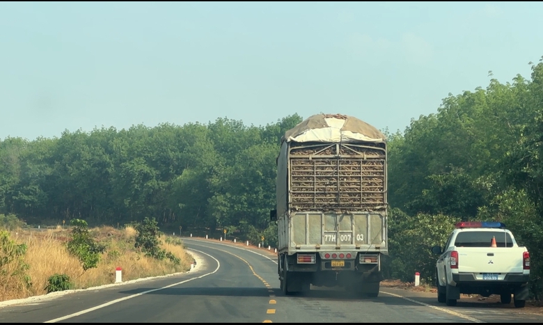 Gia Lai: Quyết kh&ocirc;ng dung t&uacute;ng, bao che xe qu&aacute; tải- Ảnh 1.