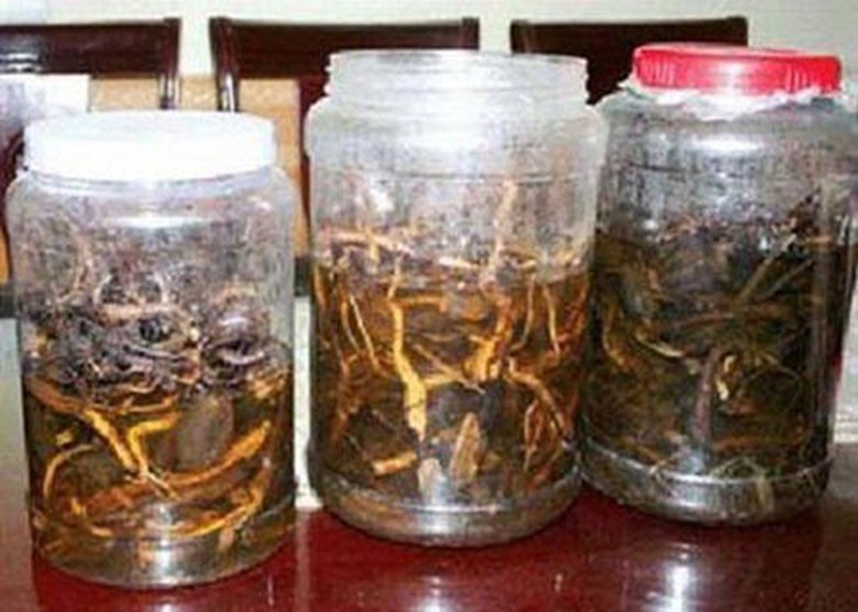 Bắc Giang: Uống rượu ng&acirc;m c&acirc;y rừng, 2 người chết, 1 người nguy kịch- Ảnh 1.