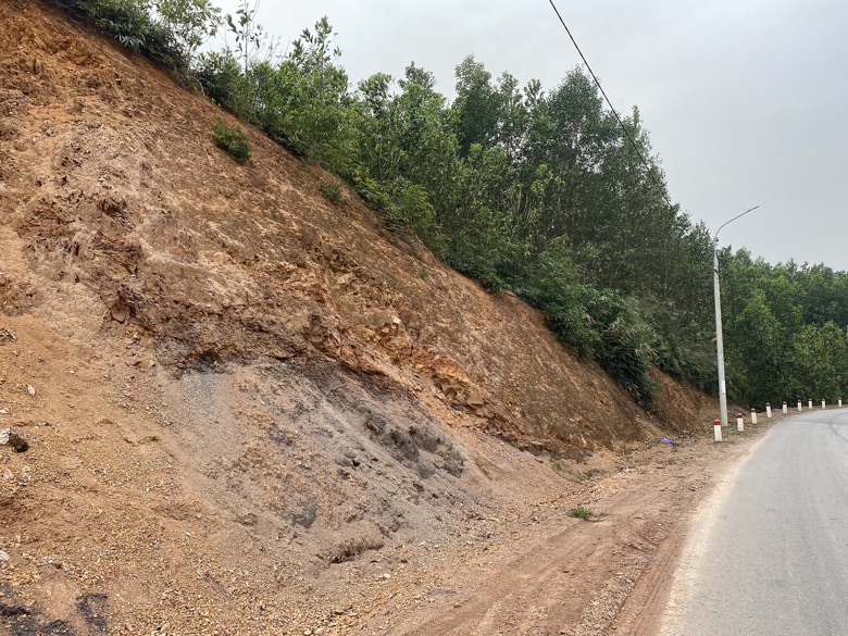 Quảng Ninh: D&acirc;n đ&agrave;o taluy đường hơn trăm tỷ để lấy đất&hellip; trồng c&acirc;y giống- Ảnh 2.