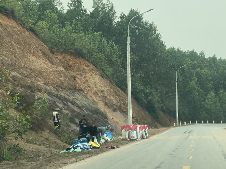 Quảng Ninh: D&acirc;n đ&agrave;o taluy đường hơn trăm tỷ để lấy đất&hellip; trồng c&acirc;y giống- Ảnh 4.