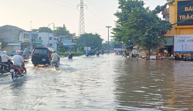 Đang hạn h&aacute;n, người d&acirc;n ở Tiền Giang sống chung với ngập- Ảnh 5.