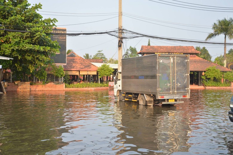 Đang hạn h&aacute;n, người d&acirc;n ở Tiền Giang sống chung với ngập- Ảnh 1.