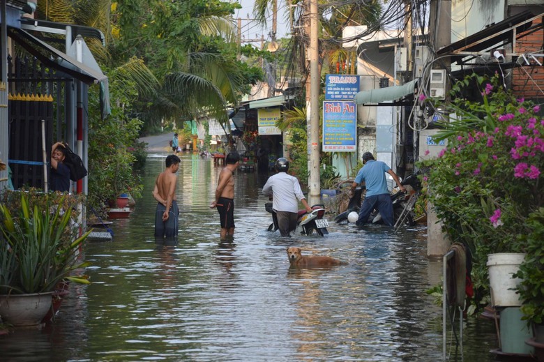 Đang hạn h&aacute;n, người d&acirc;n ở Tiền Giang sống chung với ngập- Ảnh 2.