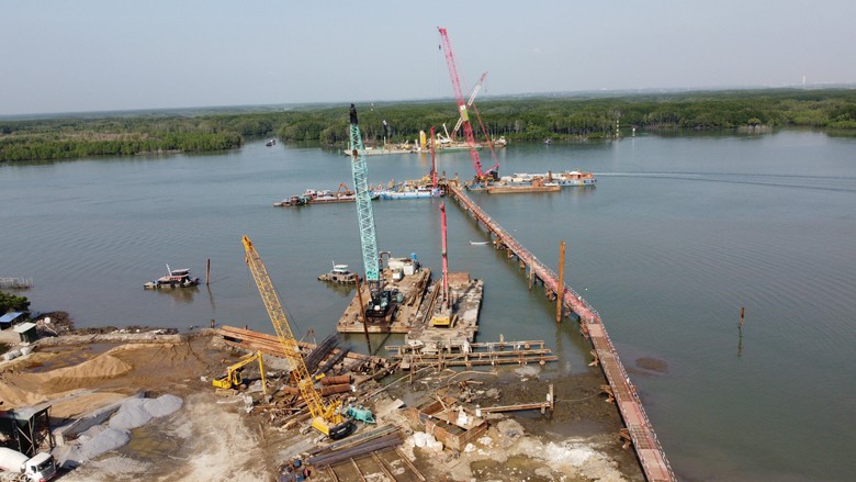 Chuyển đổi đất rừng l&agrave;m cầu 4.900 tỷ nối Đồng Nai v&agrave; B&agrave; Rịa - Vũng T&agrave;u- Ảnh 1.