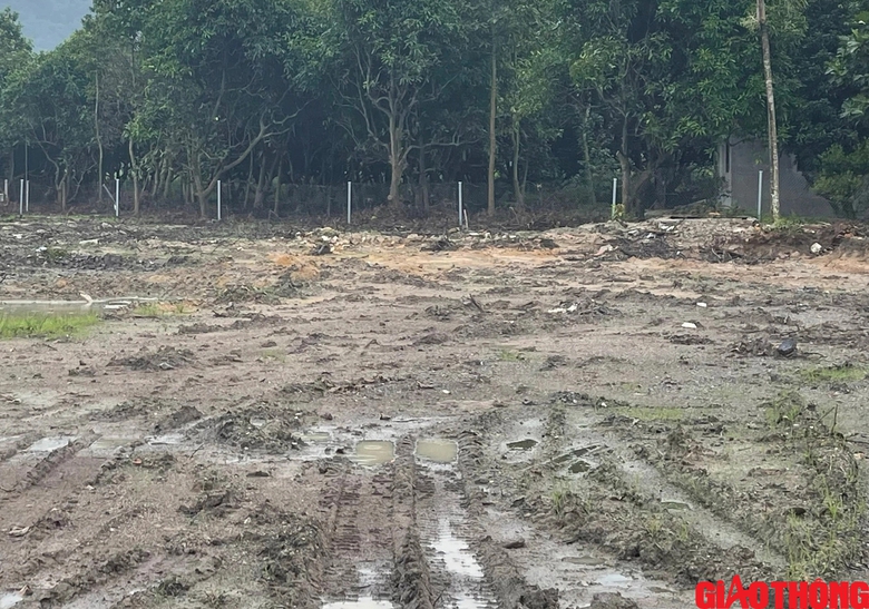 Giải ph&oacute;ng mặt bằng cao tốc qua B&agrave; Rịa - Vũng T&agrave;u đến đ&acirc;u?- Ảnh 1.