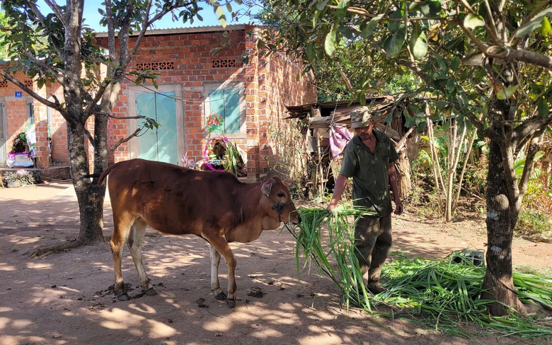 Đ&atilde; c&oacute; kết luận thanh tra vụ 'dự &aacute;n cấp b&ograve; lại h&oacute;a... b&ecirc;'
