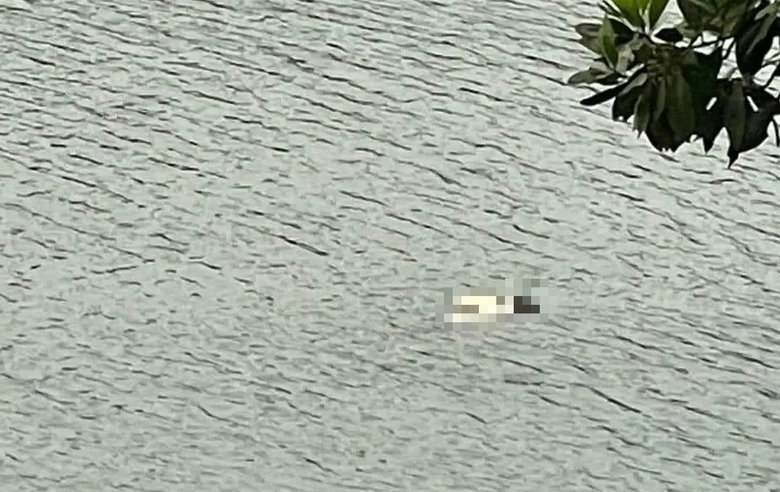 Thi thể c&ocirc; g&aacute;i nổi tr&ecirc;n s&ocirc;ng Chu sau nhiều ng&agrave;y mất t&iacute;ch- Ảnh 1.