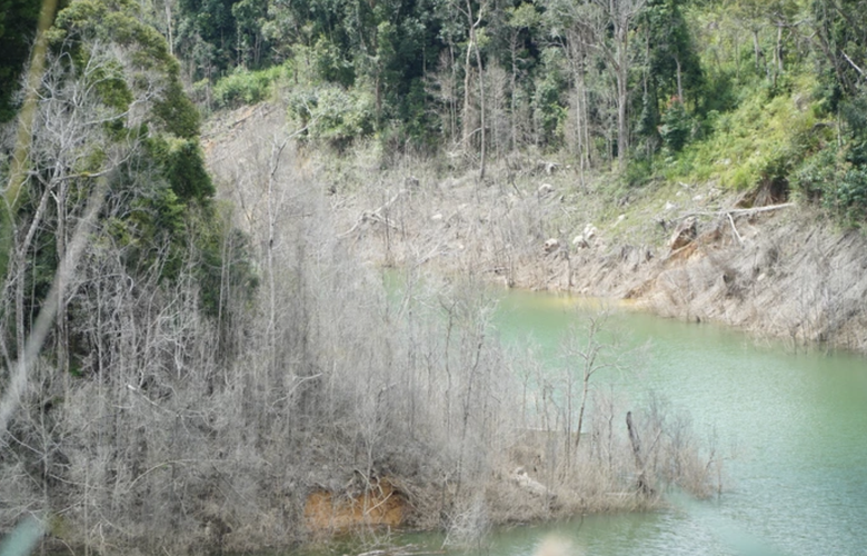 Để hơn 25ha rừng chết &uacute;ng, 15 c&aacute;n bộ bị đề nghị kỷ luật- Ảnh 1.