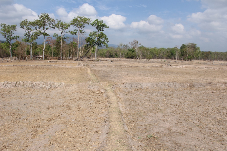 B&igrave;nh Thuận: Ảnh hưởng El Nino, h&agrave;ng vạn hộ d&acirc;n đang 