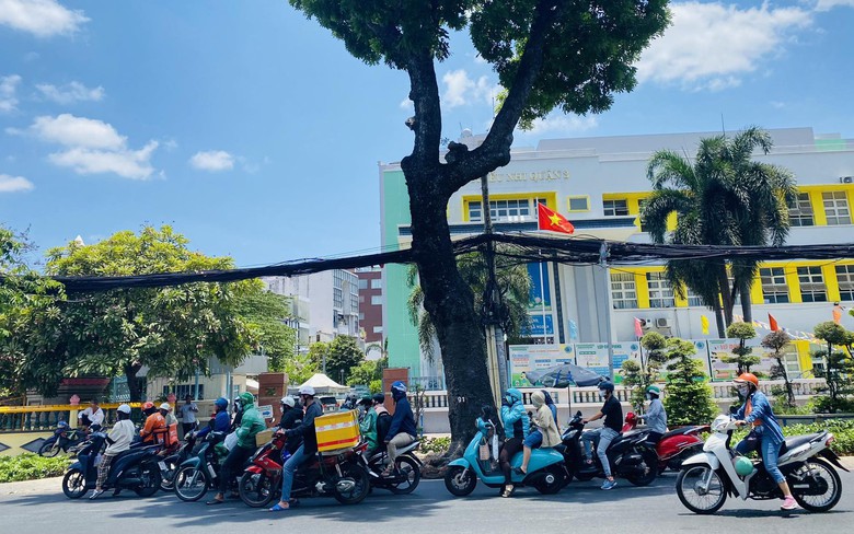 Người d&acirc;n TP.HCM lưu luyến khi hơn 400 c&acirc;y xanh phải đốn hạ để l&agrave;m tuyến metro số 2