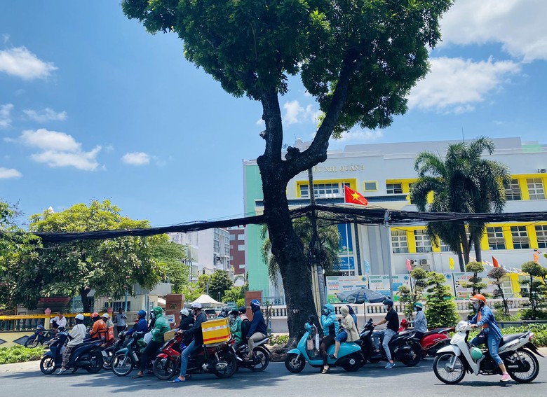 TP.HCM c&oacute; trồng lại c&acirc;y xanh sau khi chặt hơn 400 c&acirc;y l&agrave;m tuyến metro số 2?- Ảnh 2.