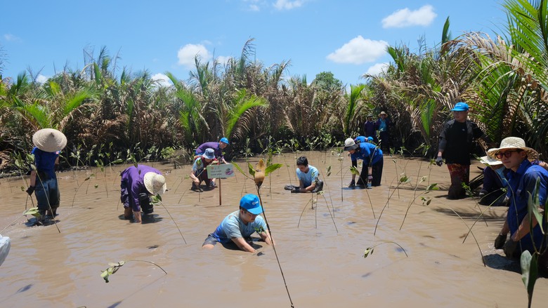 SASCO phủ xanh vùng đất ngập mặn bằng 1.000 cây đước- Ảnh 1. SASCO phủ xanh vùng đất ngập mặn bằng 1.000 cây đước- Ảnh 1.