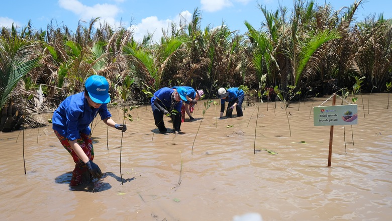 SASCO phủ xanh vùng đất ngập mặn bằng 1.000 cây đước- Ảnh 3. SASCO phủ xanh vùng đất ngập mặn bằng 1.000 cây đước- Ảnh 3.