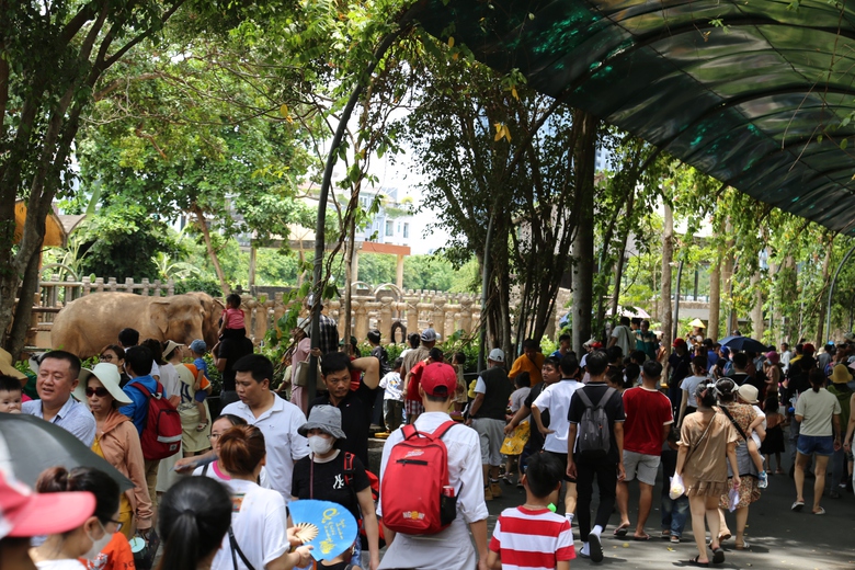 Thảo Cầm Vi&ecirc;n S&agrave;i G&ograve;n chật như n&ecirc;m những ng&agrave;y nghỉ lễ- Ảnh 7.