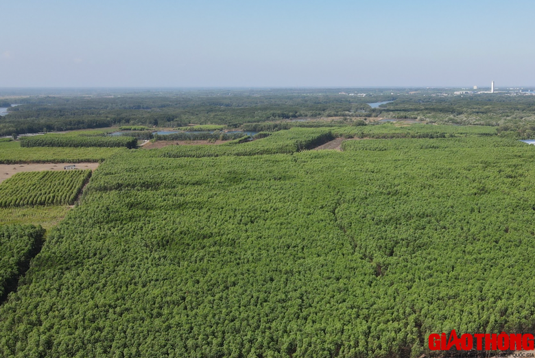 Khu t&aacute;i định cư cao tốc Bi&ecirc;n H&ograve;a - Vũng T&agrave;u vẫn vướng mặt bằng- Ảnh 1.