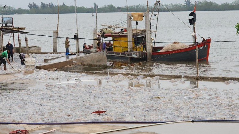 Nam Định: Loạt bến b&atilde;i tr&aacute;i ph&eacute;p bủa v&acirc;y, xe nghi qu&aacute; tải tung ho&agrave;nh đ&ecirc; Hữu Hồng- Ảnh 9.