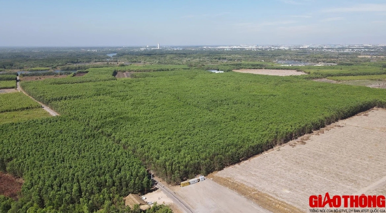 Đồng Nai: Dân nhường đất làm đường mỏi mòn chờ tái định cư- Ảnh 3. Đồng Nai: Dân nhường đất làm đường mỏi mòn chờ tái định cư- Ảnh 3.