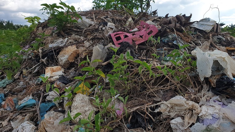 Cận cảnh b&atilde;i r&aacute;c khổng lồ chắn cao tốc Cần Thơ - C&agrave; Mau sắp được di dời- Ảnh 2.