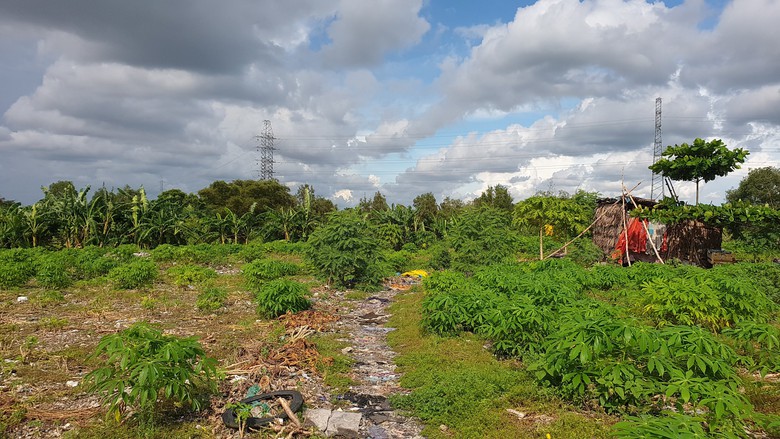 Cận cảnh b&atilde;i r&aacute;c khổng lồ chắn cao tốc Cần Thơ - C&agrave; Mau sắp được di dời- Ảnh 3.