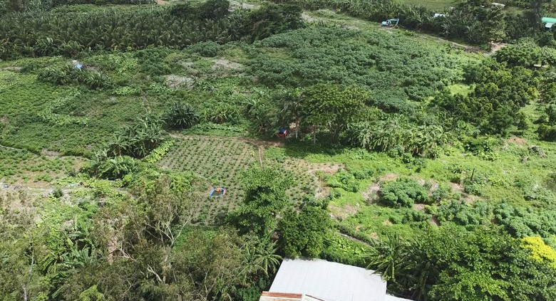 Cận cảnh b&atilde;i r&aacute;c khổng lồ chắn cao tốc Cần Thơ - C&agrave; Mau sắp được di dời- Ảnh 8.