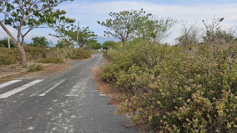 Cận cảnh khu tái định cư 50ha, gần 10 năm chỉ còn 1 hộ- Ảnh 12. Cận cảnh khu tái định cư 50ha, gần 10 năm chỉ còn 1 hộ- Ảnh 12.